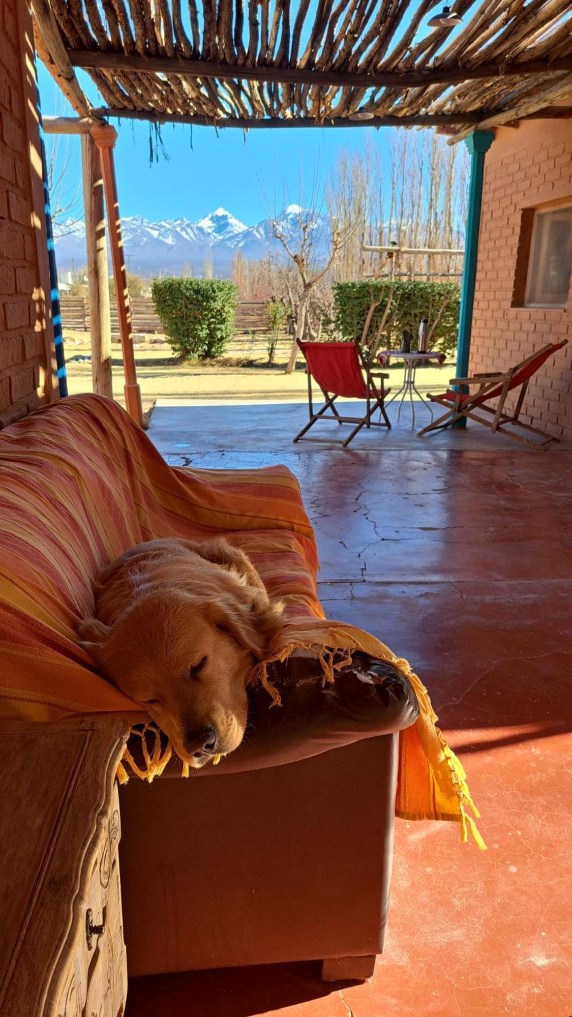 Aire De Barreal Hostel Andino 외부 사진