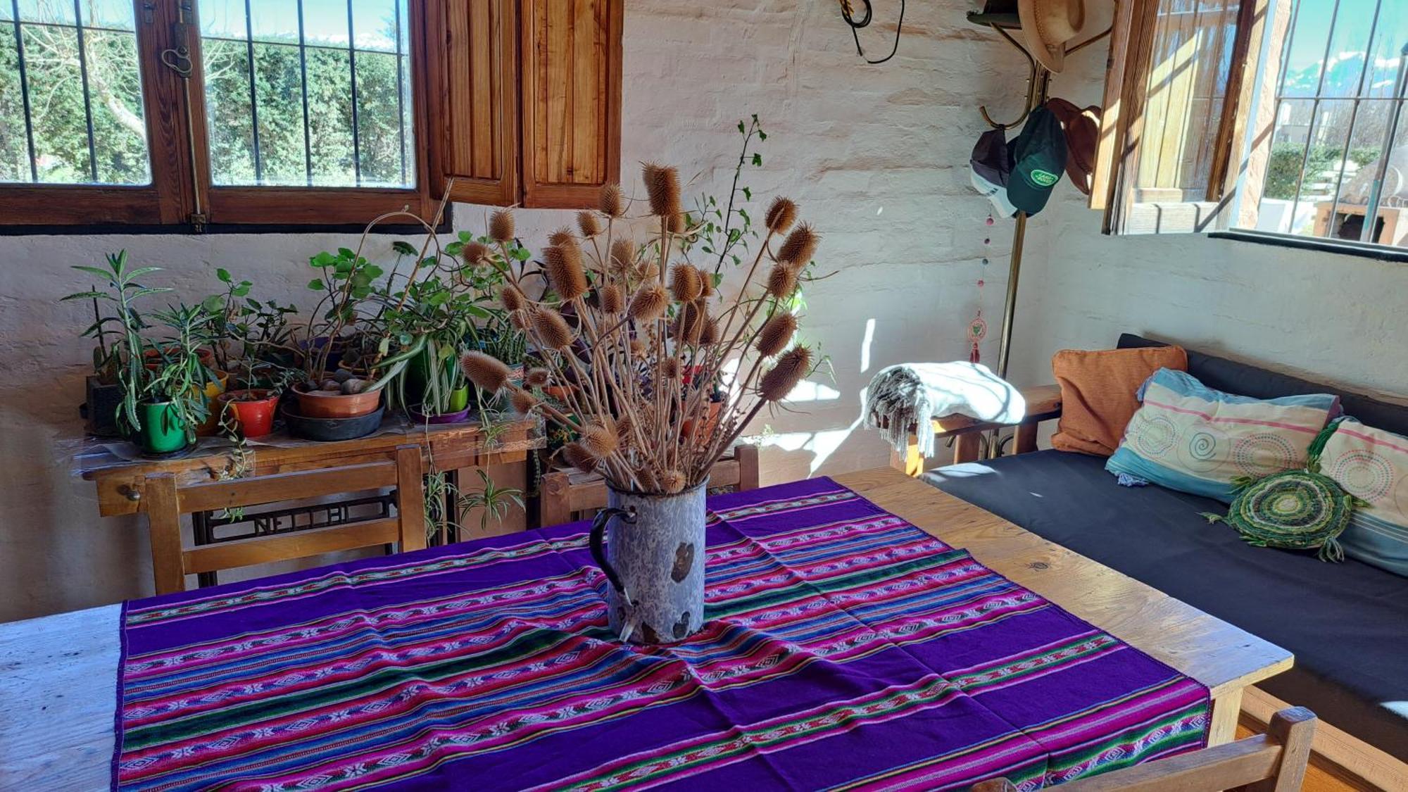 Aire De Barreal Hostel Andino 외부 사진